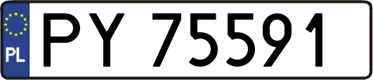 PY75591