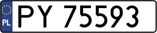 PY75593