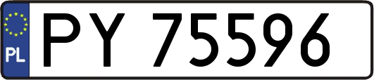 PY75596