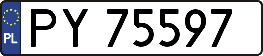 PY75597