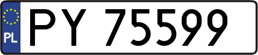 PY75599