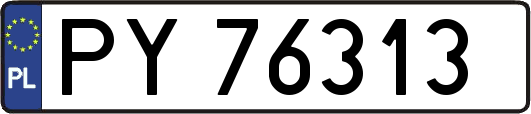 PY76313