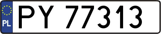 PY77313