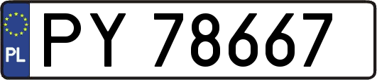 PY78667