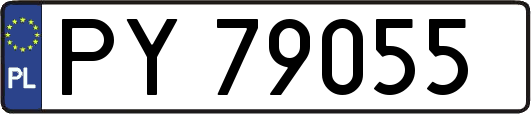 PY79055