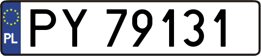PY79131