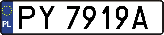 PY7919A