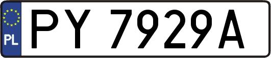 PY7929A