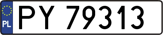 PY79313