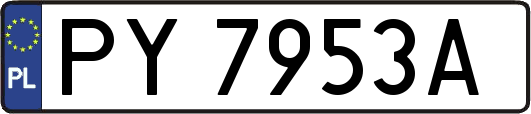 PY7953A