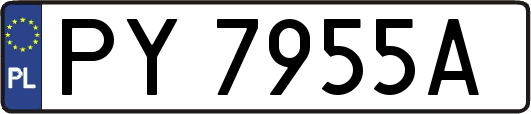 PY7955A