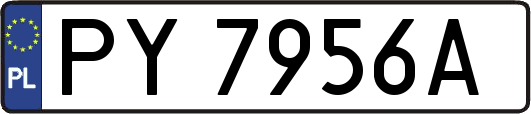 PY7956A