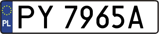 PY7965A