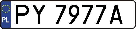 PY7977A