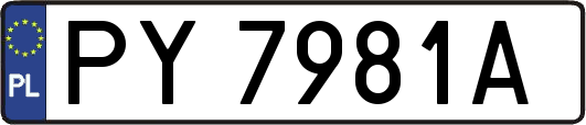 PY7981A