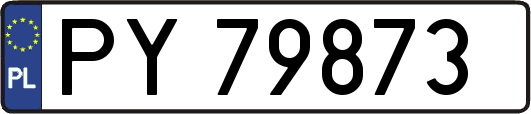 PY79873