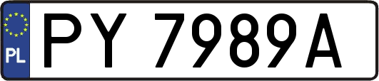PY7989A