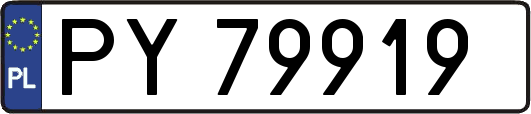 PY79919