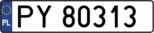 PY80313