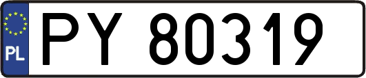 PY80319