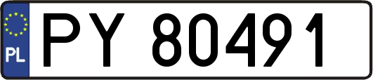 PY80491