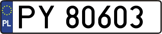 PY80603