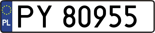 PY80955