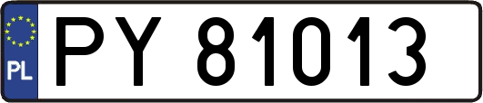 PY81013