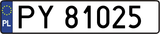 PY81025