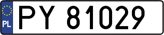 PY81029