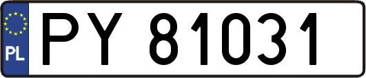 PY81031