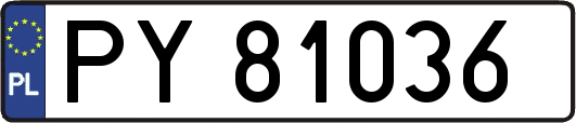 PY81036