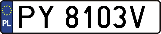 PY8103V