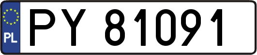 PY81091