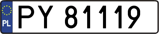 PY81119