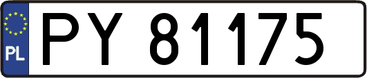 PY81175