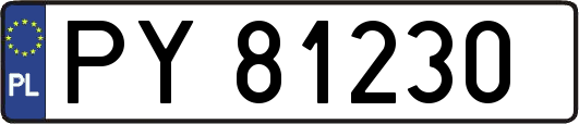 PY81230