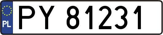 PY81231