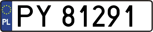 PY81291