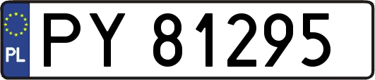 PY81295