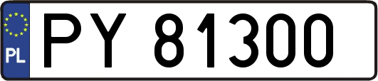 PY81300