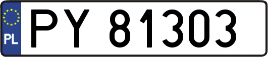 PY81303