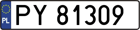 PY81309