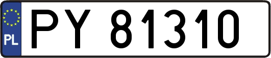 PY81310