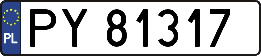 PY81317