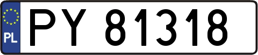 PY81318