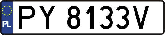 PY8133V