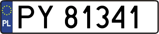PY81341