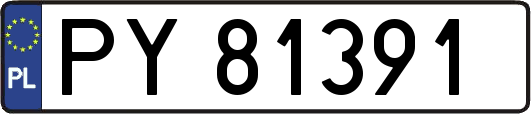 PY81391