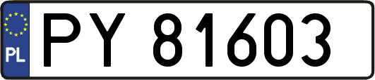 PY81603
